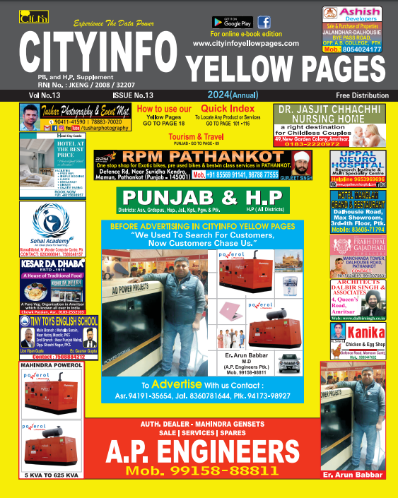 Punjab, Himachal Yellow pages